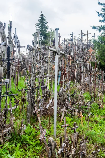 Colina Das Cruzes Local Peregrinação Norte Lituânia — Fotografia de Stock