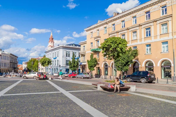 Vilnius Lituania Agosto 2016 Plaza Del Ayuntamiento Vilniaus Rotuse Vilna —  Fotos de Stock