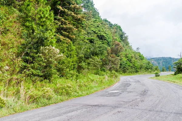 Panama'da Reserva Forestal de Fortuna dağlarında yol