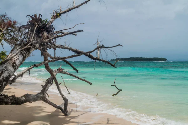 Isla Zapatilla sahil Adası, Bocas del Toro adalar, Panama parçası