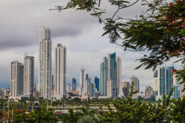 Panama City Skyline arka plan üzerinde