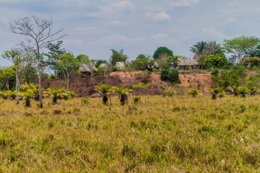San Juan Nehri, Nikaragua yakınındaki thatched kulübe