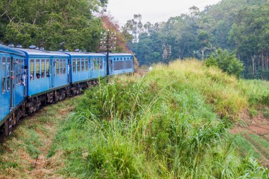 Oya, Sri Lanka - 15 Temmuz 2016 topuk: Tren sürmek topuk Oya köyü yakınlarında.