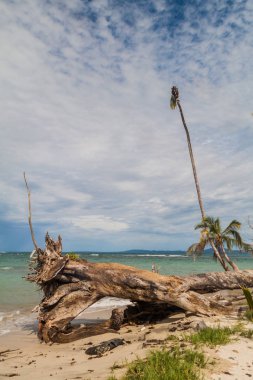 Wild coast Cahuita Milli Parkı, Kosta Rika