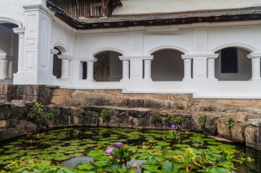 Dış Dambulla mağara tapınağın bir lotus çiçeği gölet, Sri Lanka ile