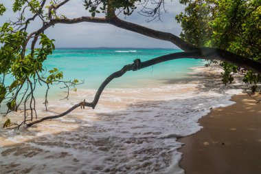 Isla Zapatilla sahil Adası, Bocas del Toro adalar, Panama parçası