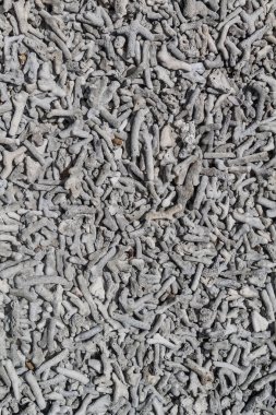 Pek çok kırık mercan arka plan