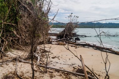 Sahil Cahuita Milli Parkı, Kosta Rika