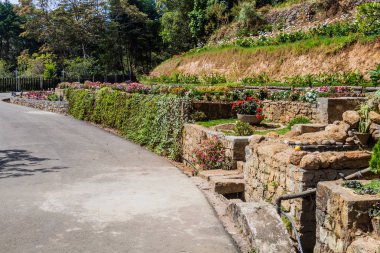 Bahçe Adisham Manastırı yakınındaki Haputale, Sri Lanka