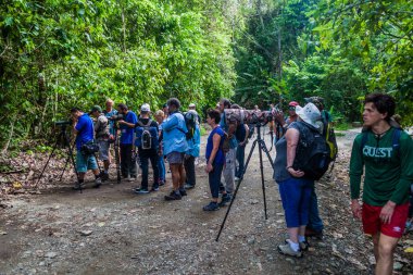 Manuel Antonio, Kosta Rika - 13 Mayıs 2016: kalabalık bir turist olarak Milli Parkı Manuel Antonio, Kosta Rika