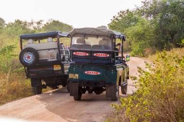Uda Walawe, Sri Lanka - 14 Temmuz 2016: turistler safari cip Uda Walawe Milli Parkı, Sri Lanka