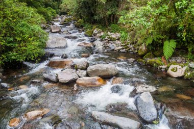 Caldera Nehri yakınında Boquete, Panama