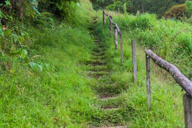 İz Boquete, Panama yakınındaki hiking şelaleler kaybetti