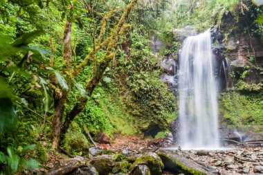 Şelale Boquete, Panama yakınındaki. İz hiking şelaleler kaybetti tarafından erişilebilir.