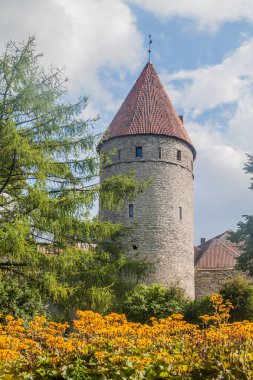 Tallinn, Estonya eski şehir sur duvarları, kule