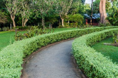Yol içinde Peradeniya Kraliyet Botanik Bahçeleri yakınında Kandy, Sri Lanka