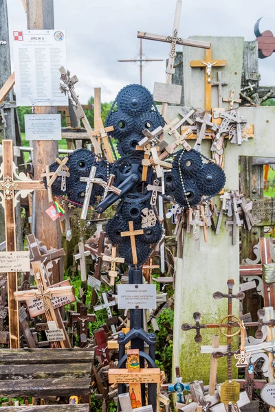 Siauliai Lituânia Agosto 2016 Colina Das Cruzes Local Peregrinação Norte — Fotografia de Stock