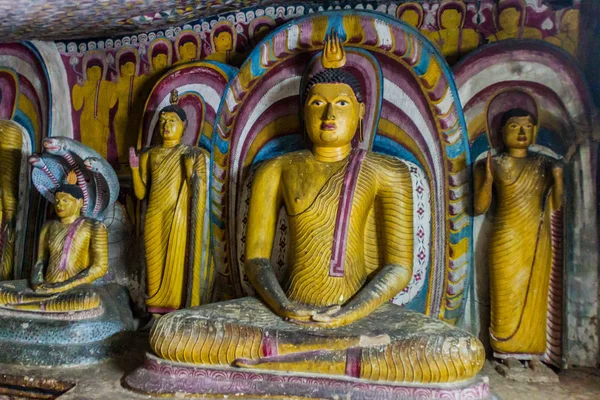 Buddha Statyer Grotta Dambulla Cave Temple Sri Lanka — Stockfoto