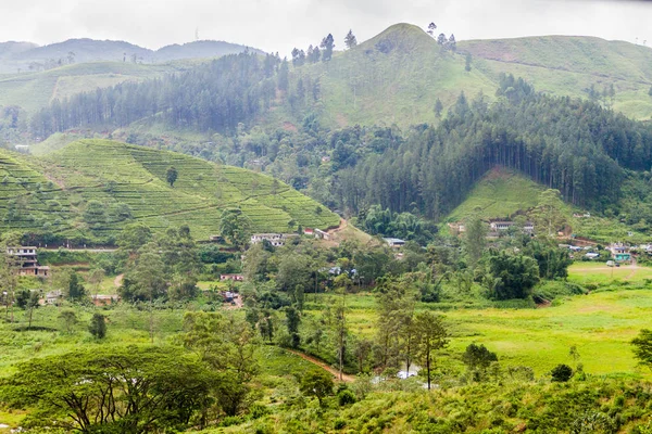 Nanu Oya köyü yakınlarında, Sri Lanka manzara