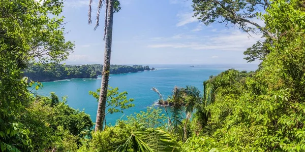 Okyanus Kıyısında Içinde Milli Parkı Manuel Antonio Kosta Rika — Stok fotoğraf