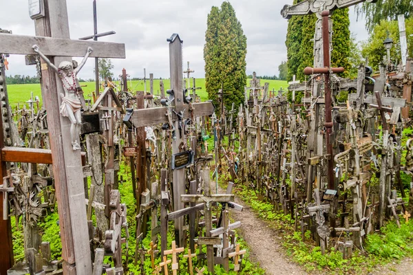 Siauliai Lituânia Agosto 2016 Colina Das Cruzes Local Peregrinação Norte — Fotografia de Stock