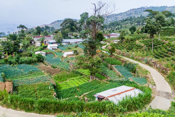 Piccolo Villaggio Nelle Montagne Vicino Haputale Sri Lanka — Foto Stock