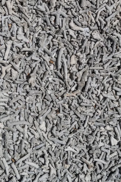 Pek çok kırık mercan arka plan