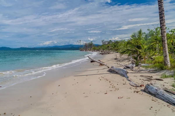 Playa Parque Nacional Cahuita Costa Rica — Foto de Stock