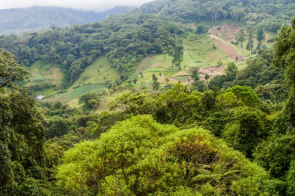 Yemyeşil manzara yakınındaki Boquete, Panama