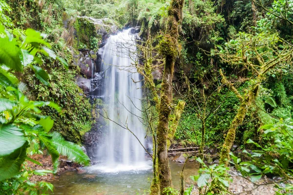 One Waterfalls Cloud Forest Lost Waterfalls Hiking Trail Boquete Panama — Stock Photo, Image
