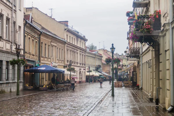 Kaunas Litvanya Ağustos 2016 Nsanlar Yürüyüş Boyunca Vilniaus Gatve Sokak — Stok fotoğraf