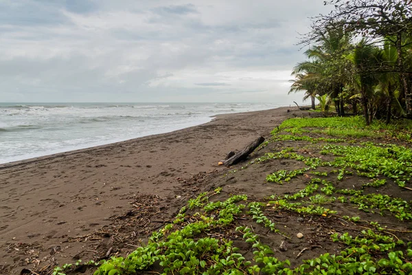 Playa Parque Nacional Tortuguero Costa Rica —  Fotos de Stock