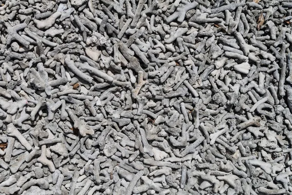 Pek çok kırık mercan arka plan