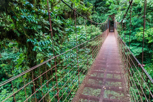 Hängbro Det Moln Skog Reserva Biologica Bosque Nuboso Monteverde Costa — Stockfoto