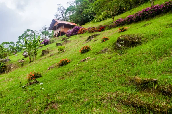 Casa Estilo Alpino Cerca Boquete Panamá — Foto de Stock