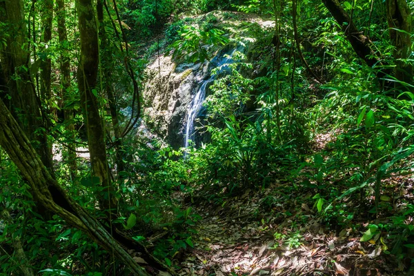 Небольшой Водопад Национальном Парке Мануэль Антонио Коста Рика — стоковое фото
