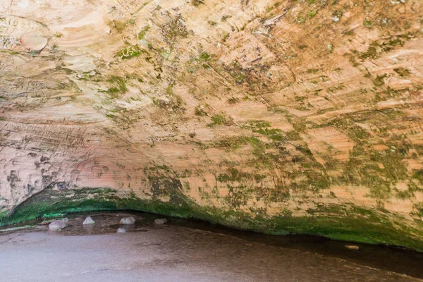 Sigulda, Letonya - 20 Ağustos 2016: Oymalar Gutmana mağarasında yakınındaki Sigulda, Letonya