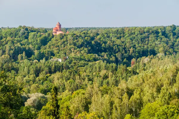 Widok Zamek Turaida Łotwa — Zdjęcie stockowe