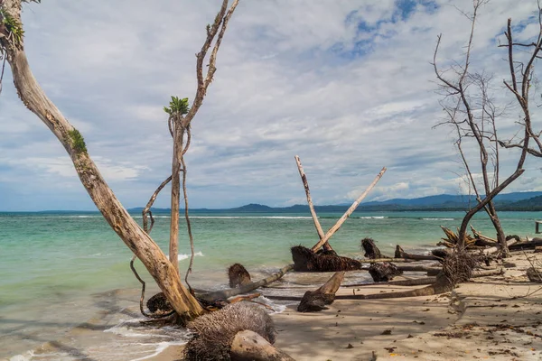 Yalı Cahuita Milli Parkı, Kosta Rika
