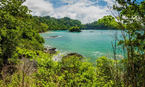 Okyanus Kıyısında Içinde Milli Parkı Manuel Antonio Kosta Rika — Stok fotoğraf