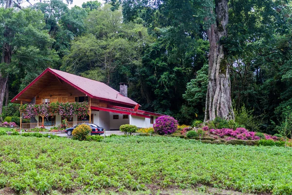 Casa Estilo Alpino Del Pueblo Bajo Grande Cerca Del Volcán — Foto de Stock