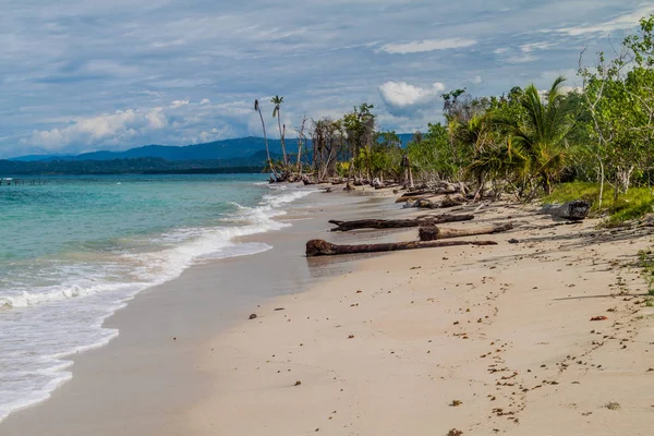 Playa Parque Nacional Cahuita Costa Rica — Foto de Stock