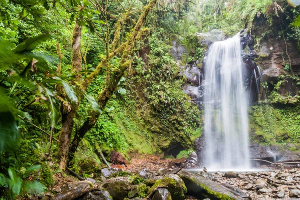 Şelale Boquete Panama Yakınındaki Hiking Şelaleler Kaybetti Tarafından Erişilebilir — Stok fotoğraf