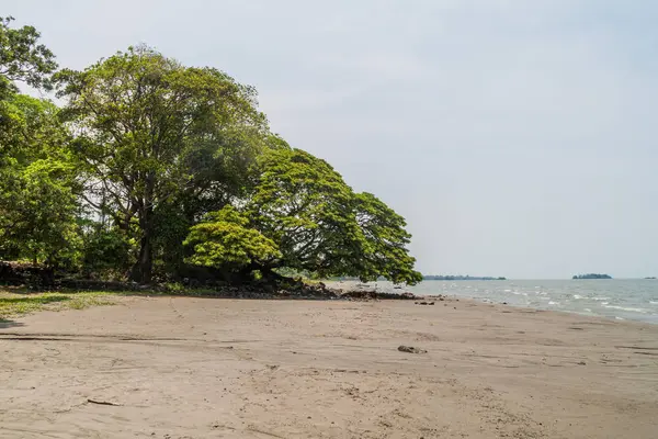 Playa Isla Ometepe Nicaragua —  Fotos de Stock