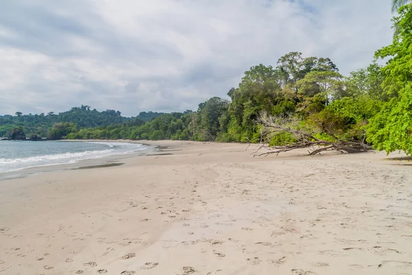Beach içinde Milli Parkı Manuel Antonio, Kosta Rika