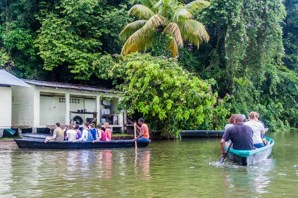 Tortuguero Costa Rica May 2016 Boats Tourists Depart Wildlife Watching — Stock Photo, Image