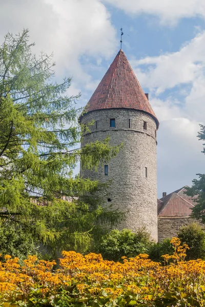 Tallinn, Estonya eski şehir sur duvarları, kule