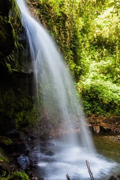 Einer Der Wasserfälle Einem Nebelwald Entlang Des Verlorenen Wasserfall Wanderweges — Stockfoto