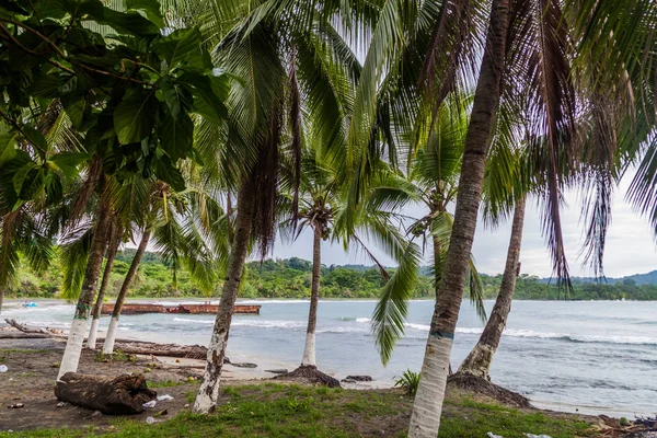 Yalı Puerto Viejo Talamanca Köyü Kosta Rika — Stok fotoğraf