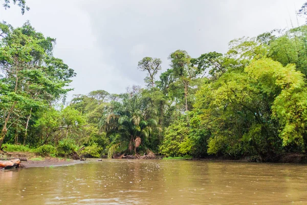 Fluss Suerte Costa Rica — Stockfoto